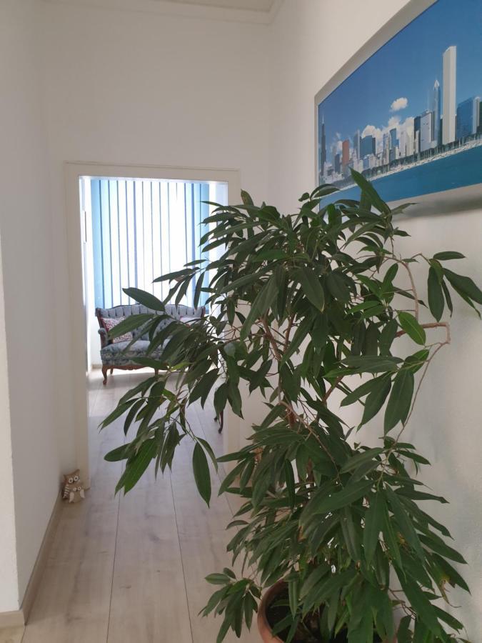 Marumparkblick Apartment